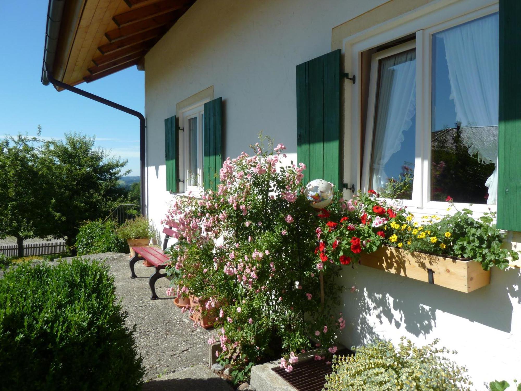 Ferienwohnung Panorama Bad Kohlgrub Exterior foto